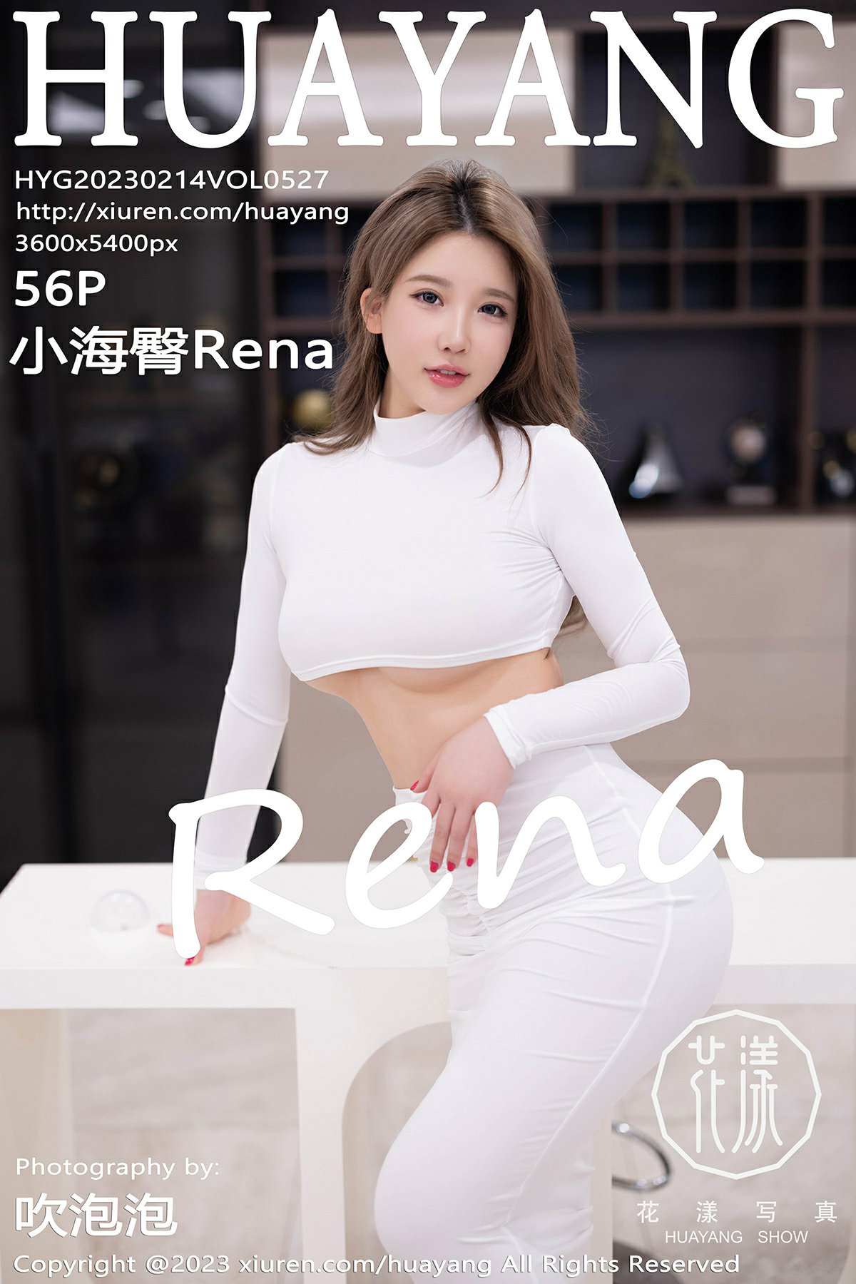 [HuaYang花漾写真] 2023.02.14 VOL.527 小海臀Rena [56P340MB]